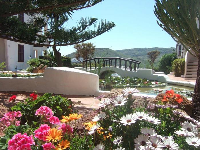 Click image for larger version
Name: liam_garden_photo.jpg
Views: 1
Size: 144.0 KB
ID: 245684