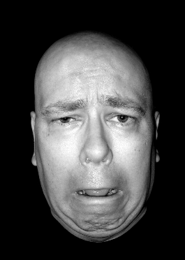 Click image for larger version
Name: cry.PNG
Views: 1
Size: 57.9 KB
ID: 247287