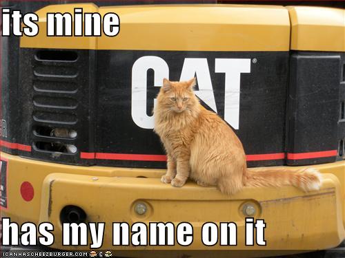 Click image for larger version
Name: gatitomio.jpg
Views: 1
Size: 35.3 KB
ID: 248582
