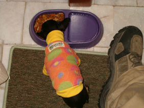 Click image for larger version

Name:	pequeña ratilla.jpg
Views:	173
Size:	47.1 KB
ID:	243051