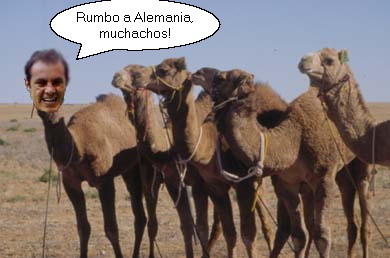 Click image for larger version

Name:	camels.jpg
Views:	262
Size:	31.9 KB
ID:	243157