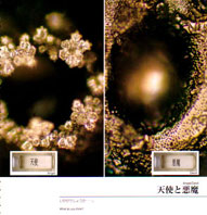 Click image for larger version

Name:	ANGEL-DEMONIO.jpg
Views:	255
Size:	15.1 KB
ID:	243244