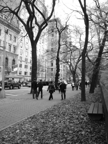 Click image for larger version

Name:	paseando por central prk2.jpg
Views:	172
Size:	120.9 KB
ID:	243436