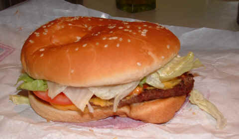 Click image for larger version

Name:	BK whopper real.JPG
Views:	258
Size:	13.3 KB
ID:	243941