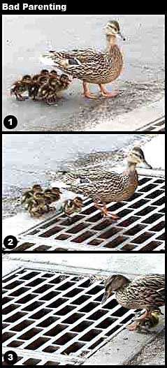 Click image for larger version

Name:	shtmoments6.jpg
Views:	205
Size:	71.6 KB
ID:	243985