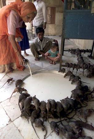 Click image for larger version

Name:	india.jpg
Views:	245
Size:	24.0 KB
ID:	244702
