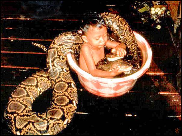 Click image for larger version

Name:	thailand.jpg
Views:	245
Size:	53.6 KB
ID:	244705