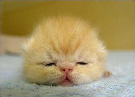 Click image for larger version

Name:	image006.jpg
Views:	7167
Size:	10.6 KB
ID:	244745