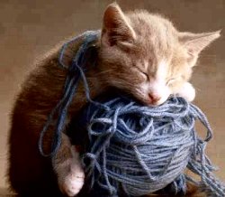 Click image for larger version

Name:	kitty-yarn.jpg
Views:	6802
Size:	14.9 KB
ID:	244769