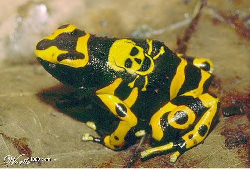 Click image for larger version

Name:	natu1.jpg
Views:	258
Size:	32.1 KB
ID:	244791