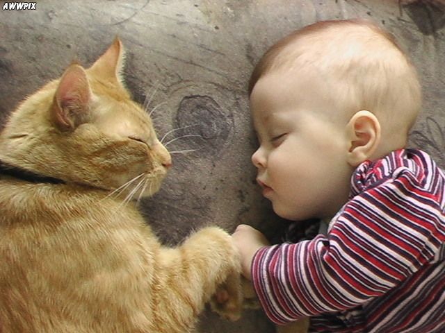 Click image for larger version

Name:	Cute_Pictures_41.jpg
Views:	1079
Size:	66.2 KB
ID:	244835