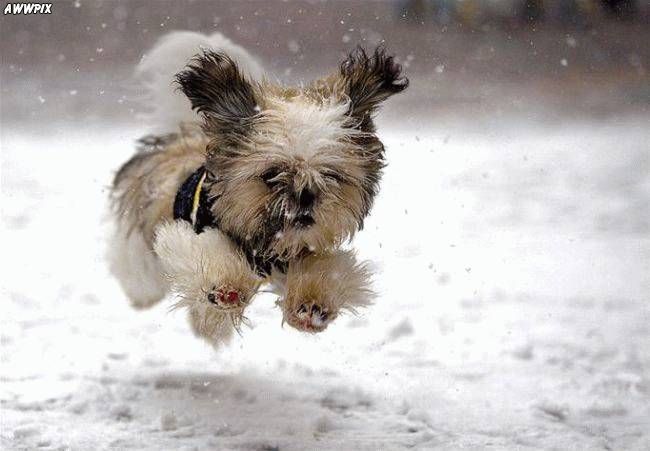 Click image for larger version

Name:	Cute_Pictures_414.jpg
Views:	1111
Size:	40.2 KB
ID:	244836