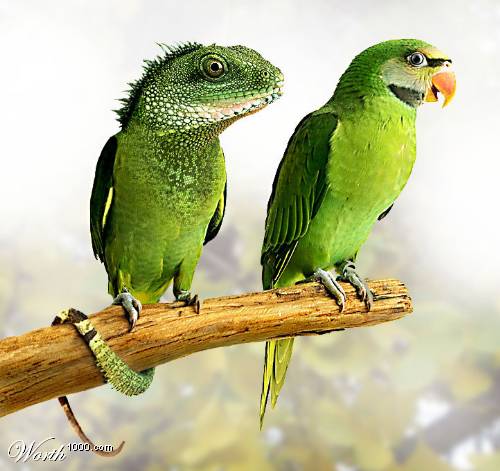 Click image for larger version

Name:	msg-32230-17.jpg
Views:	200
Size:	35.0 KB
ID:	244874