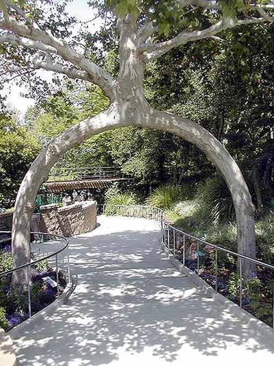 Click image for larger version

Name:	arbol 9.jpg
Views:	274
Size:	56.1 KB
ID:	244983