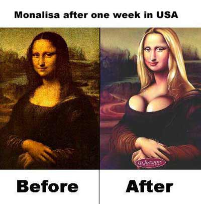 Click image for larger version

Name:	monalisa_leonardo_usa.jpg
Views:	790
Size:	20.4 KB
ID:	244984