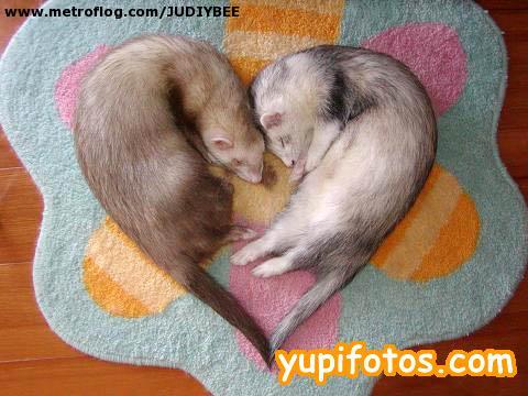 Click image for larger version

Name:	75375145_GPOTUBXLSDNRUVA.jpg
Views:	620
Size:	36.6 KB
ID:	245087