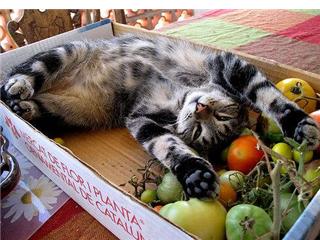 Click image for larger version

Name:	GetAttachment.-..jpg
Views:	567
Size:	22.0 KB
ID:	245090
