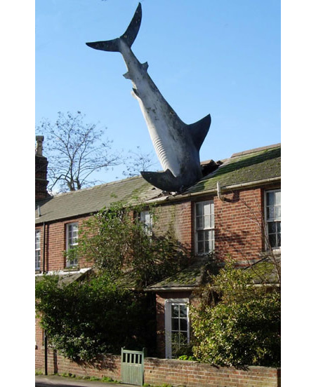 Click image for larger version

Name:	el tiburon.jpg
Views:	538
Size:	115.3 KB
ID:	245110