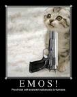 Click image for larger version

Name:	Emos.jpg
Views:	176
Size:	3.6 KB
ID:	245118