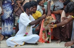 Click image for larger version

Name:	indo-perra.jpg
Views:	335
Size:	41.2 KB
ID:	245161