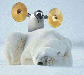 Click image for larger version

Name:	pinguino.gif
Views:	271
Size:	59.9 KB
ID:	245163