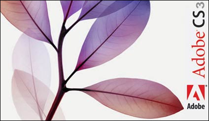 Click image for larger version

Name:	adobeCS3.jpg
Views:	246
Size:	31.0 KB
ID:	245165