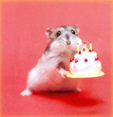 Click image for larger version

Name:	felizcumple.jpg
Views:	319
Size:	18.7 KB
ID:	245217