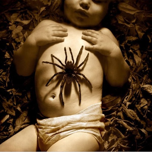 Click image for larger version

Name:	013_childhood_fears.jpg
Views:	296
Size:	75.3 KB
ID:	245284