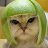 Click image for larger version

Name:	cat 2.jpg
Views:	298
Size:	5.2 KB
ID:	245324
