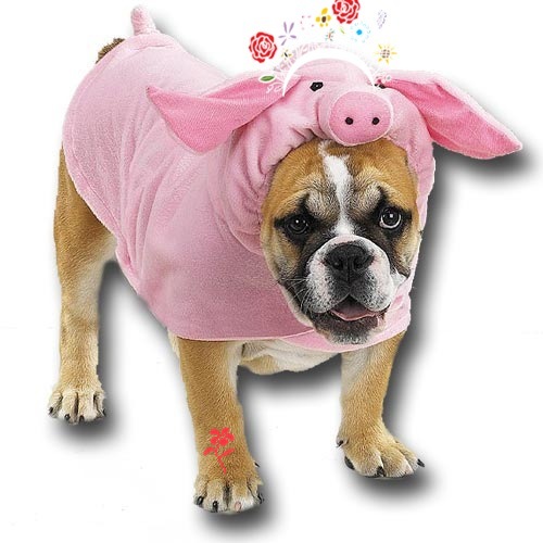 Click image for larger version

Name:	pig_costume1.jpg
Views:	262
Size:	60.0 KB
ID:	245394