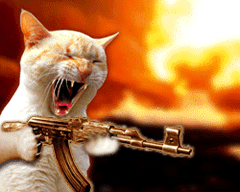 Click image for larger version

Name:	PsychoCat69499.gif
Views:	1729
Size:	115.9 KB
ID:	245420