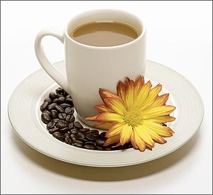Click image for larger version

Name:	cafe.JPG
Views:	212
Size:	39.5 KB
ID:	245584