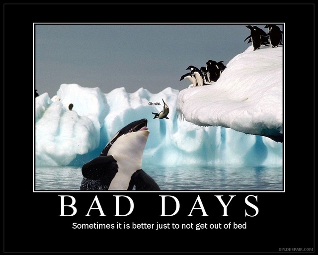 Click image for larger version

Name:	BadDays.jpg
Views:	57773
Size:	146.2 KB
ID:	245763