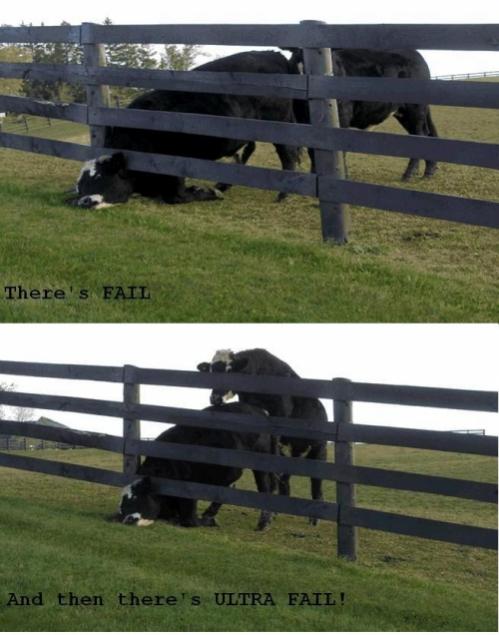 Click image for larger version

Name:	dairy-fail.jpg
Views:	54170
Size:	44.5 KB
ID:	245774
