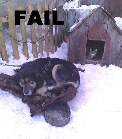 Click image for larger version

Name:	doghouse.jpg
Views:	53831
Size:	84.7 KB
ID:	245778