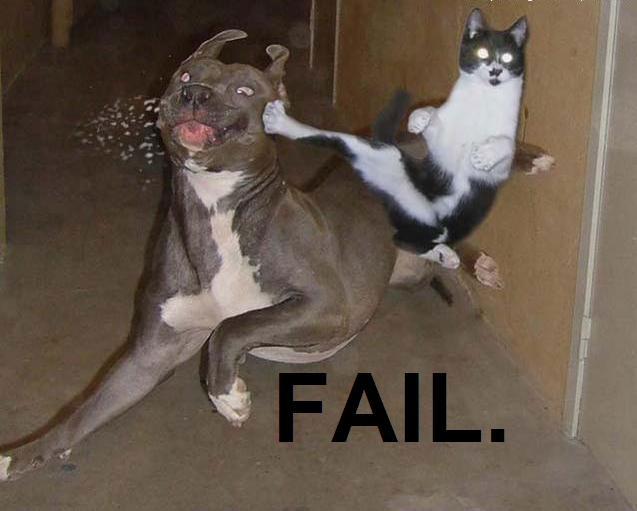 Click image for larger version

Name:	fail-1.jpg
Views:	51312
Size:	34.2 KB
ID:	245790