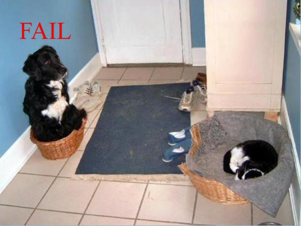 Click image for larger version

Name:	fail.d3jpg.jpg
Views:	50624
Size:	33.2 KB
ID:	245796