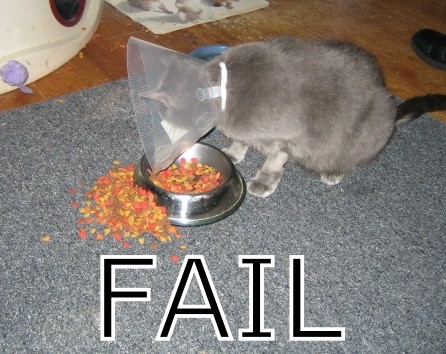 Click image for larger version

Name:	failel9.jpg
Views:	49530
Size:	64.0 KB
ID:	245808