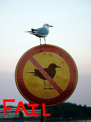 Click image for larger version

Name:	failgull.jpg
Views:	3084
Size:	17.2 KB
ID:	245812