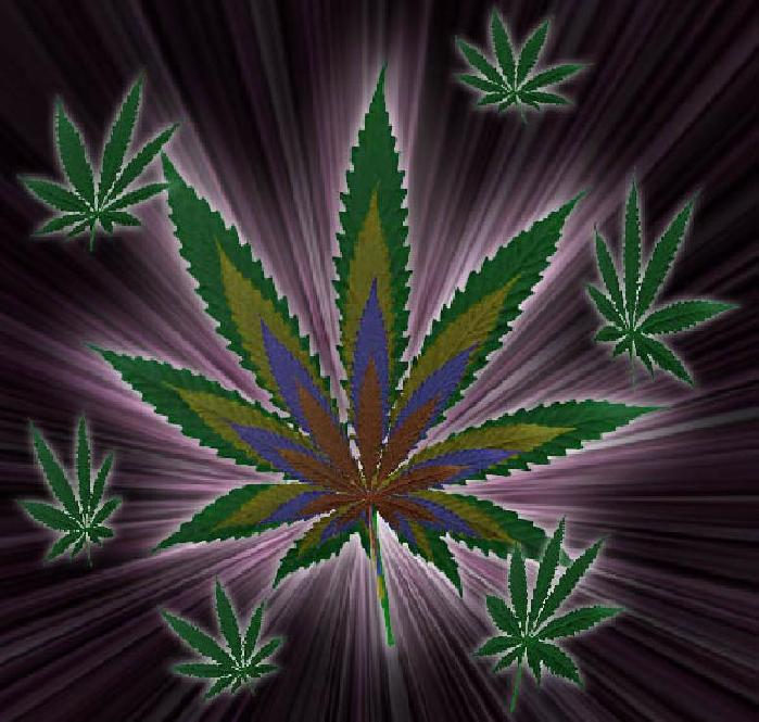 Click image for larger version

Name:	cannabis marihuana.jpg
Views:	146
Size:	71.6 KB
ID:	245855
