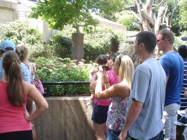 Click image for larger version

Name:	zoo viendo al gorila.jpg
Views:	237
Size:	163.3 KB
ID:	245872
