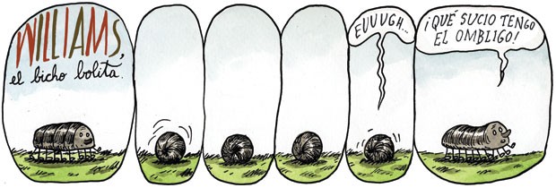 Click image for larger version

Name:	bichobolita2884967.JPG
Views:	202
Size:	41.0 KB
ID:	246006