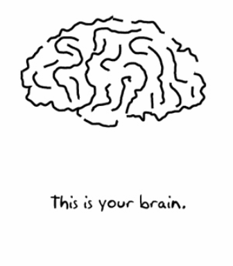 Click image for larger version

Name:	Brain.PNG
Views:	254
Size:	34.6 KB
ID:	246117