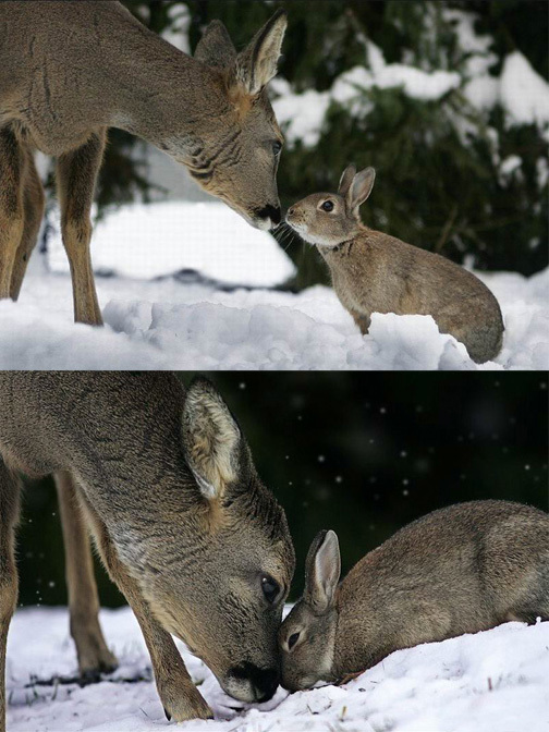 Click image for larger version

Name:	1217887119812.jpg
Views:	192
Size:	167.8 KB
ID:	246194