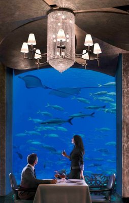 Click image for larger version

Name:	atlantis 6.jpg
Views:	222
Size:	22.8 KB
ID:	246250