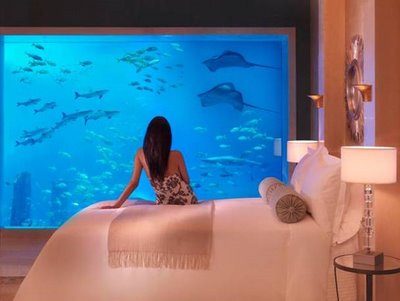 Click image for larger version

Name:	atlantis 7.jpg
Views:	184
Size:	19.7 KB
ID:	246251