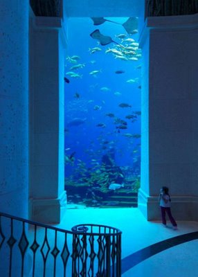 Click image for larger version

Name:	atlantis 9.jpg
Views:	219
Size:	21.1 KB
ID:	246253