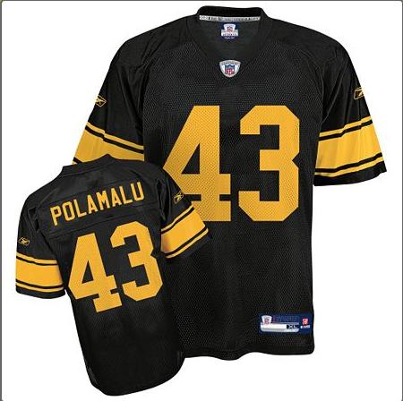 Click image for larger version

Name:	Polamalu.JPG
Views:	184
Size:	32.9 KB
ID:	246433