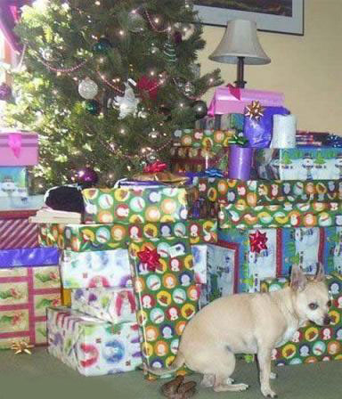 Click image for larger version

Name:	mi present to u.jpg
Views:	190
Size:	53.8 KB
ID:	246487