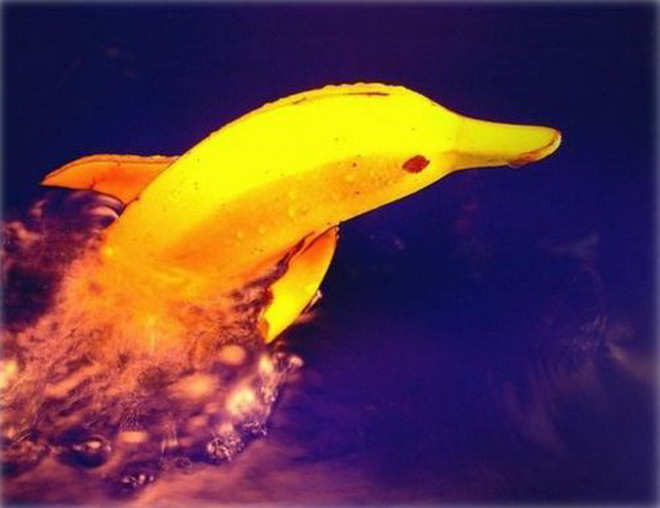 Click image for larger version

Name:	1platano.jpg
Views:	1274
Size:	59.2 KB
ID:	246501